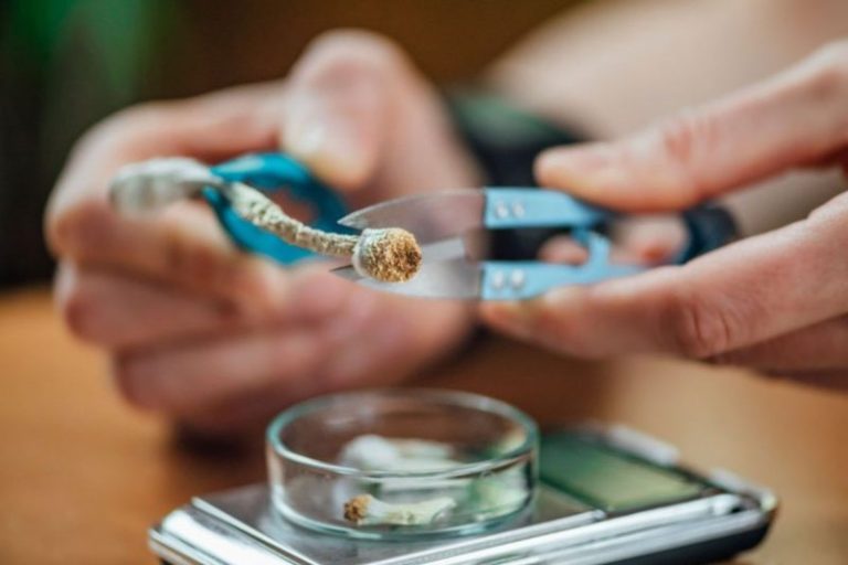 Psychedelics Market Forecast: Top Trends That Will Affect Psychedelics in 2024