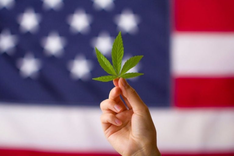 Cannabis Round-Up: US DEA Proposes Rescheduling, Canada Ignores Company Tax Concerns