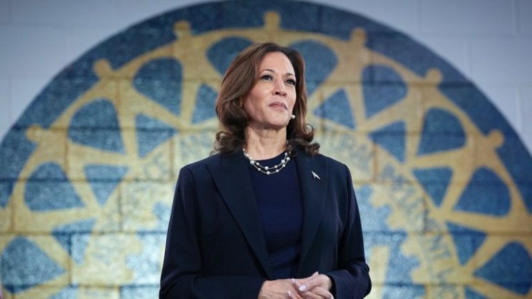 Harris dodging flip-flop attacks as faceless surrogates flip key positions: ‘Playing politics’