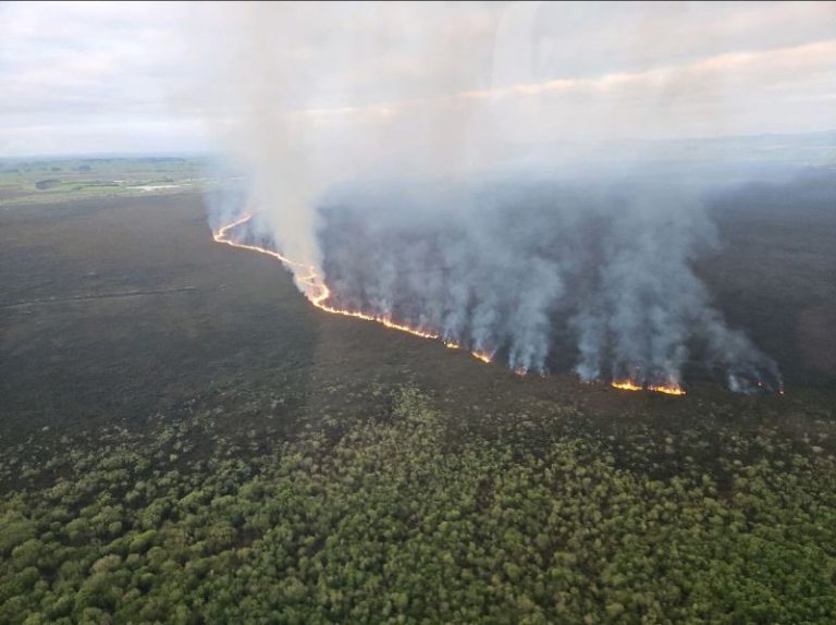 Firefighters battle huge blaze tearing through New Zealand wetland home to threatened species