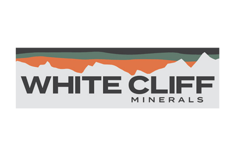 First Assay Results from Rae Copper Project Returns High Grade Copper